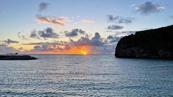 🏞️ 하마 어항 녹지 공원 (하마교코 료쿠치 코엔) 이미지 8